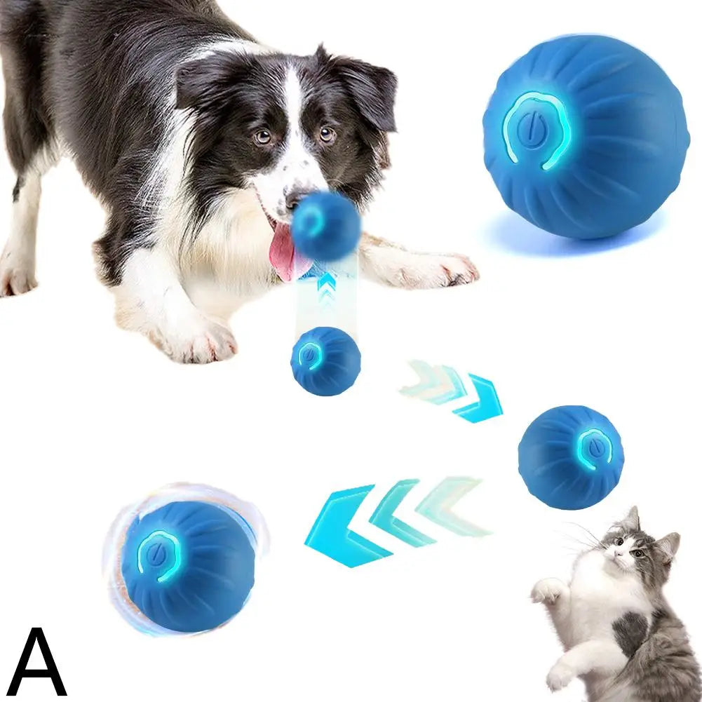 Interactive Dog Toy