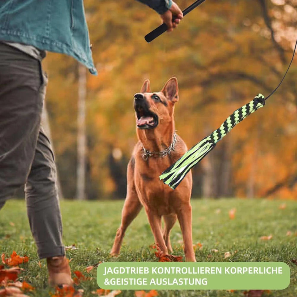 Jouet pour chien à ronger les dents