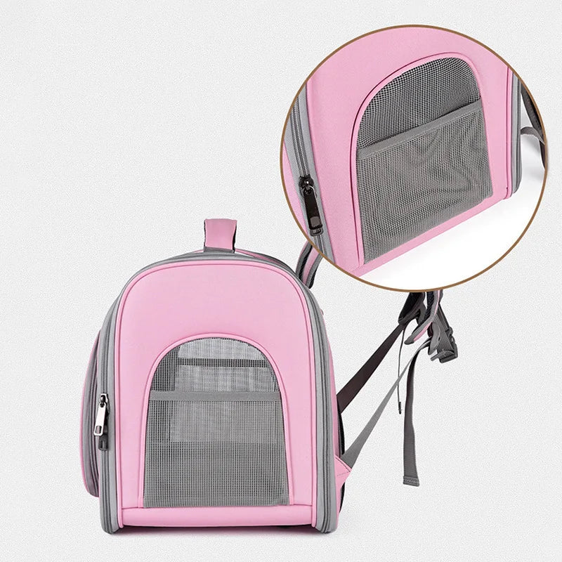 Cage de transport pour chat