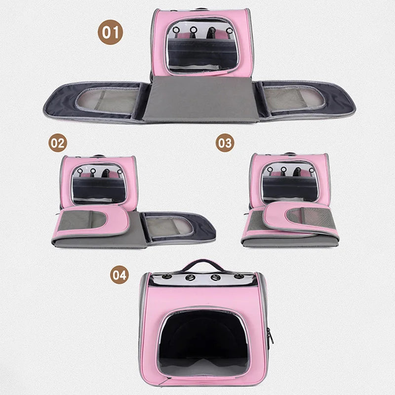 Cage de transport pour chat