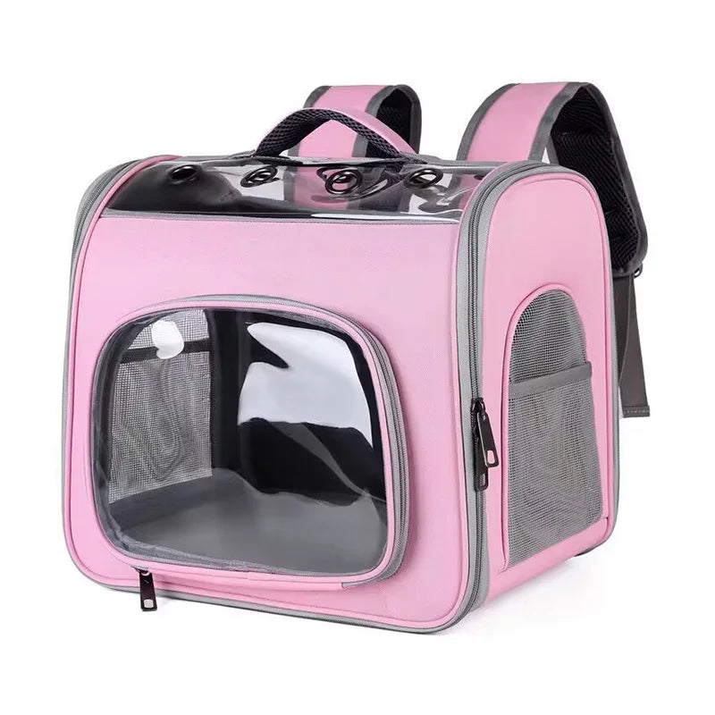 Cage de transport pour chat