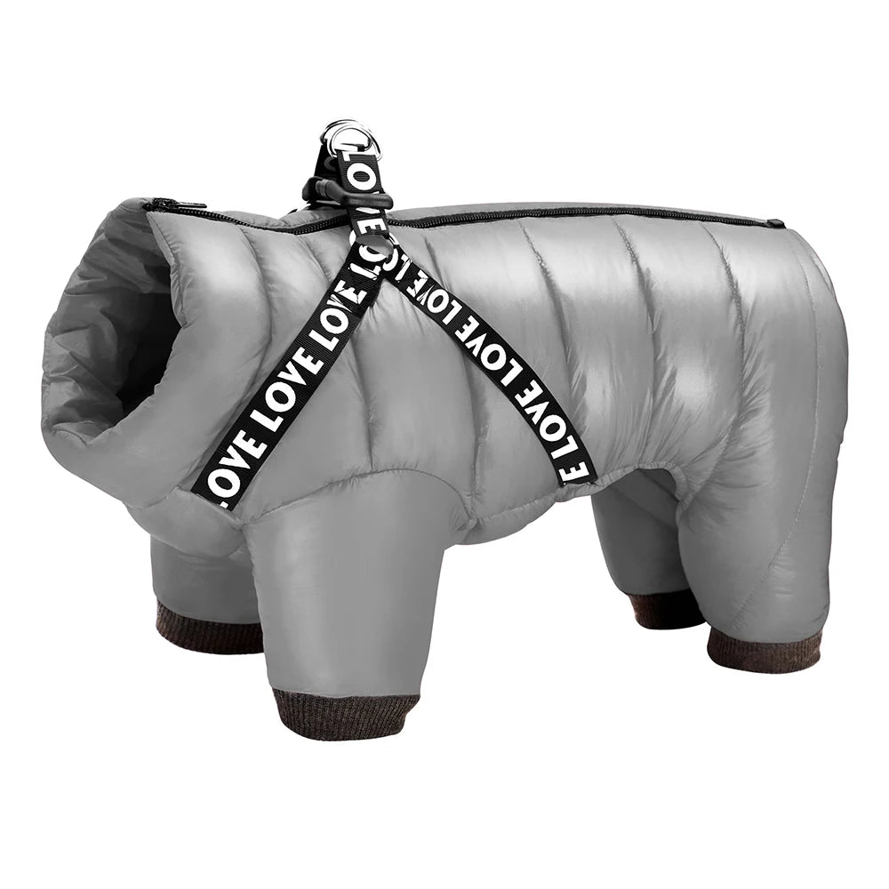 Veste chaude pour chien