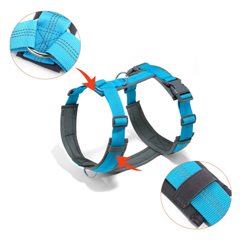 Harnais pour grand chien en forme de H