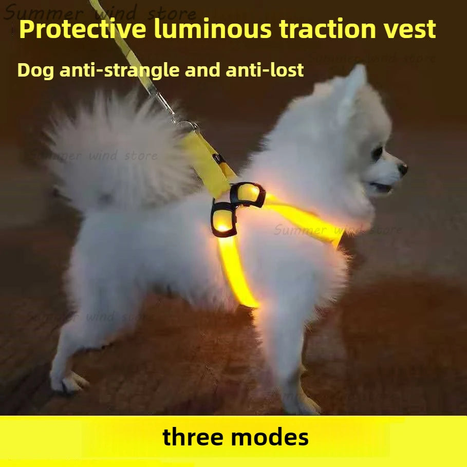 Harnais de poitrine pour chien