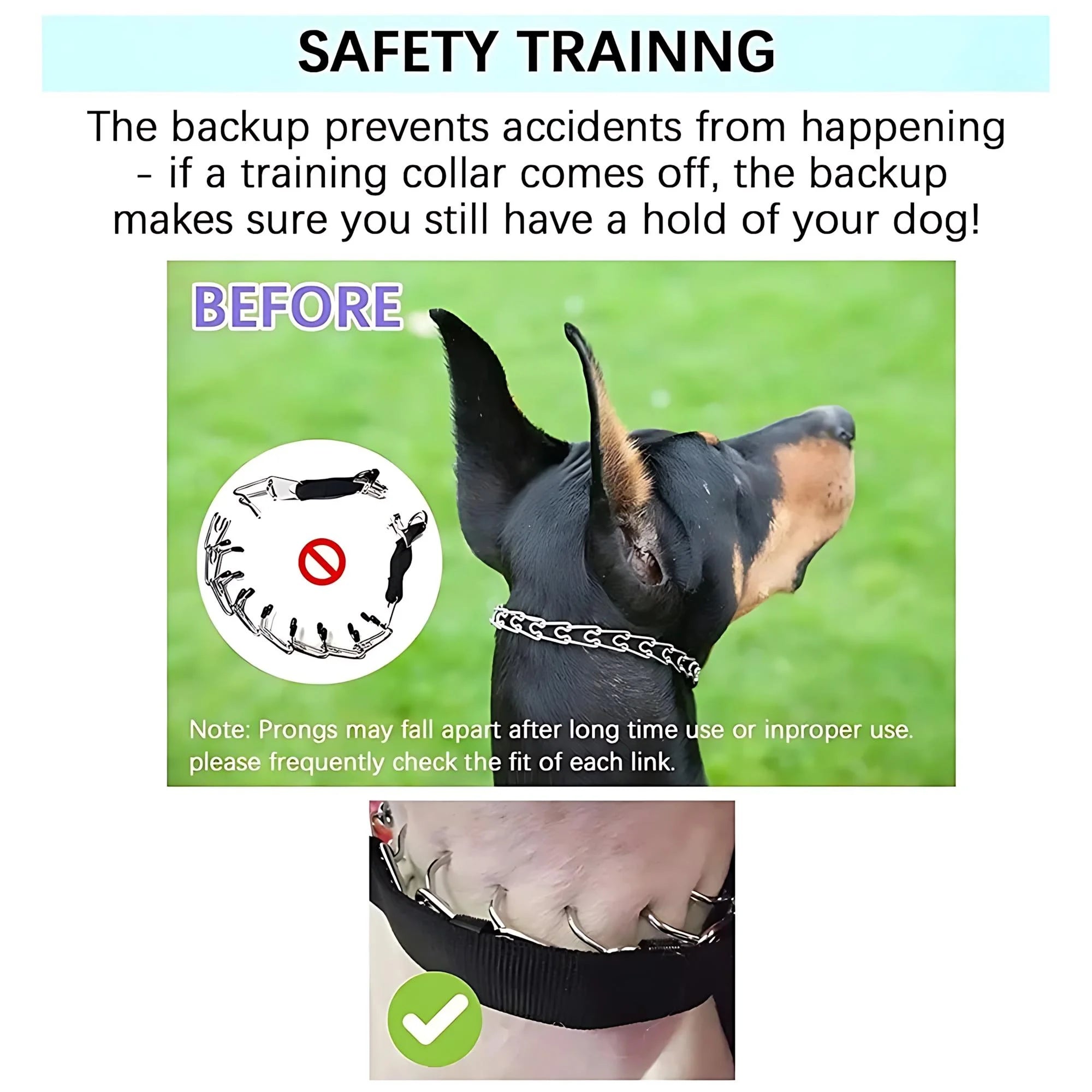 Dog Prong Training Collar