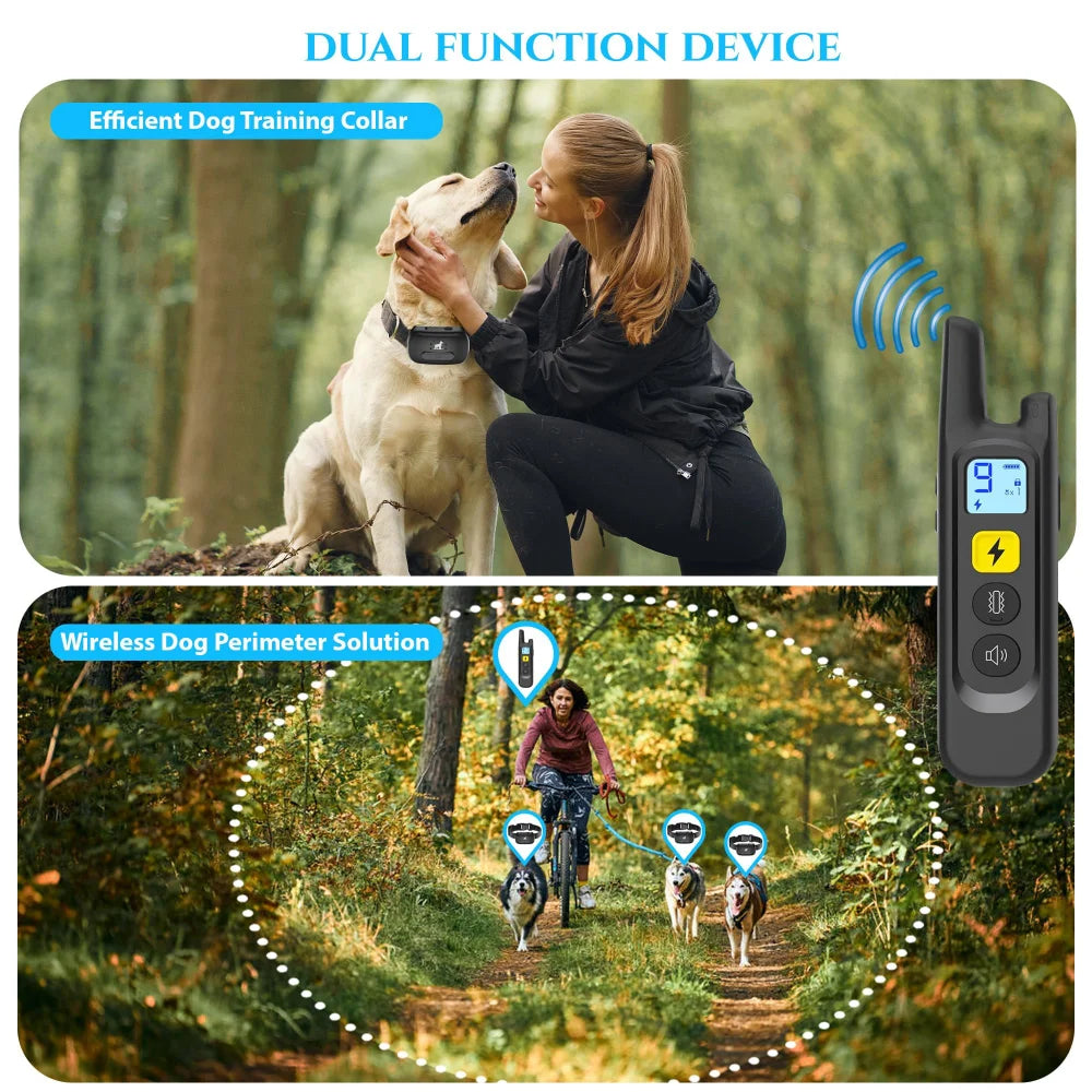 Collier de dressage à distance pour chien