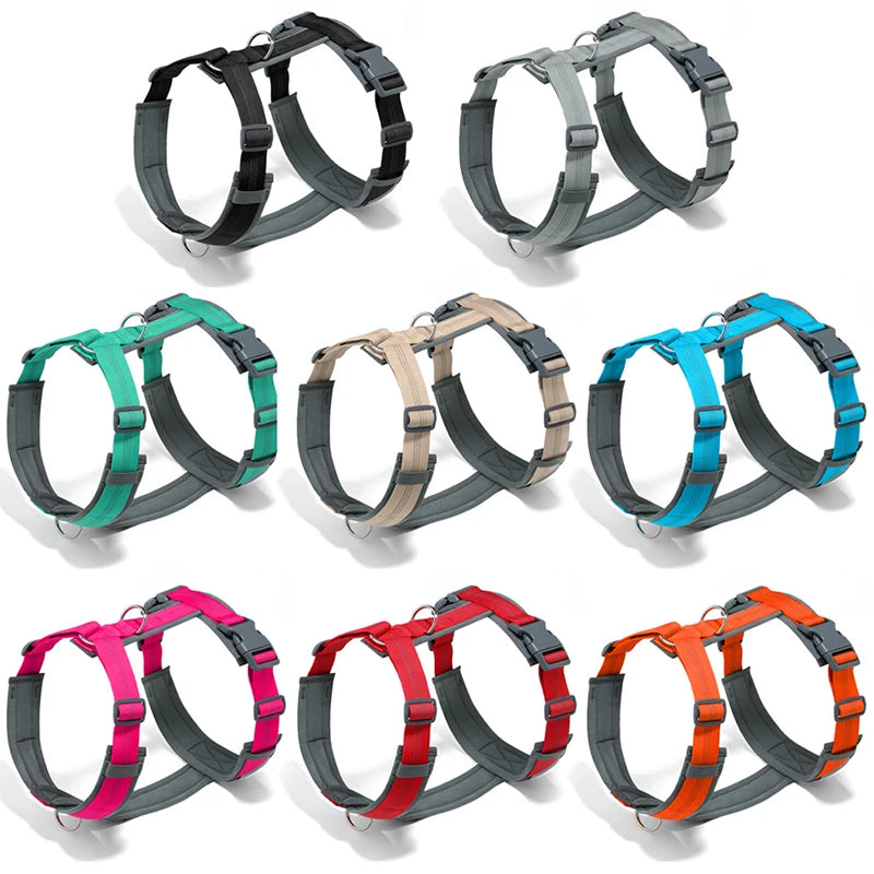 Harnais pour grand chien en forme de H