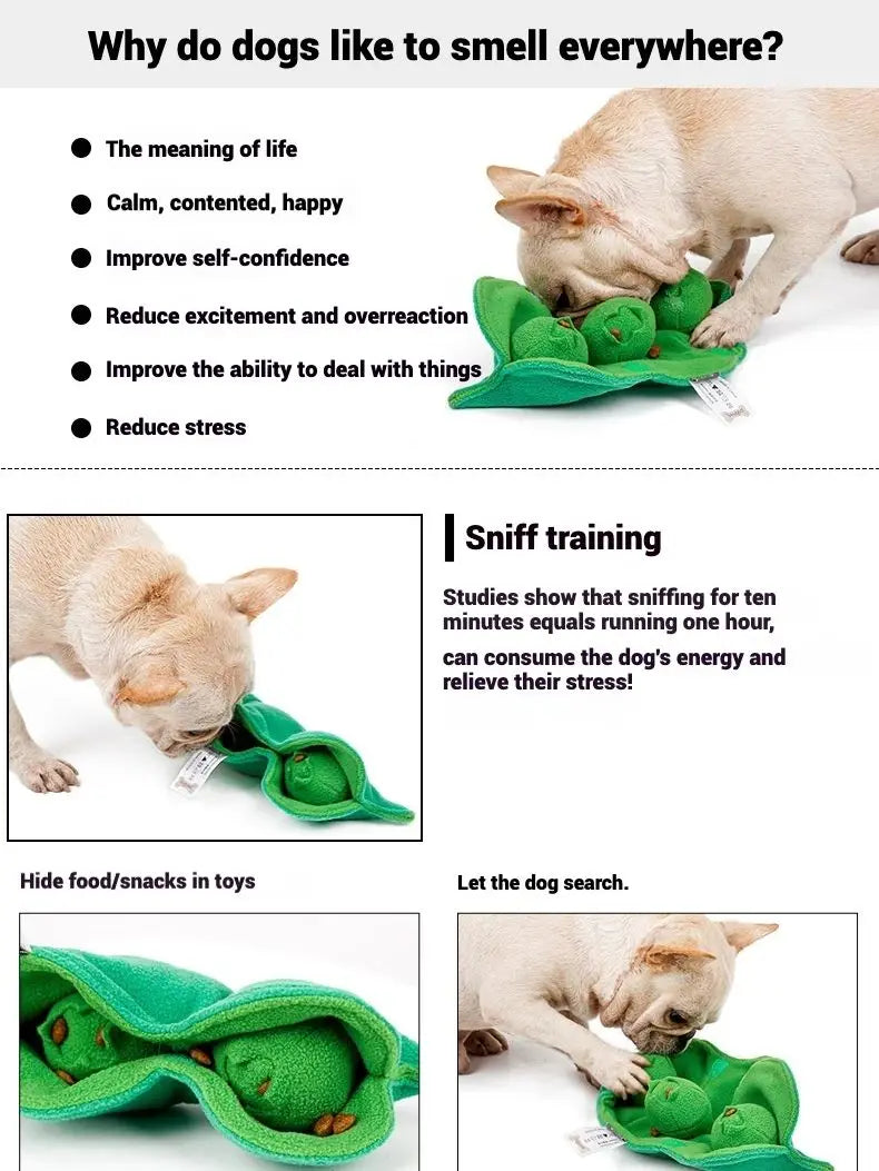 Jouet peluche chien interactif