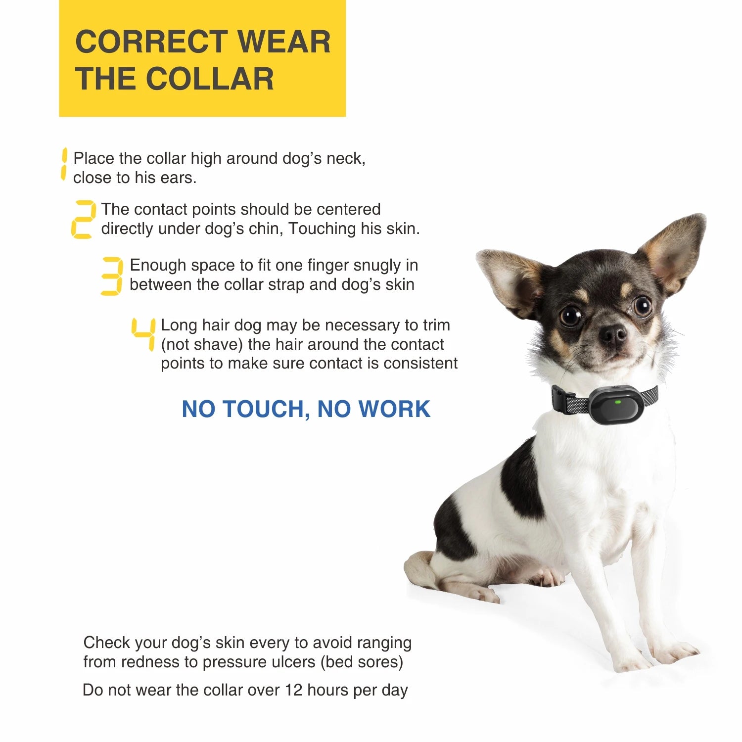 Collier de dressage pour petit chien