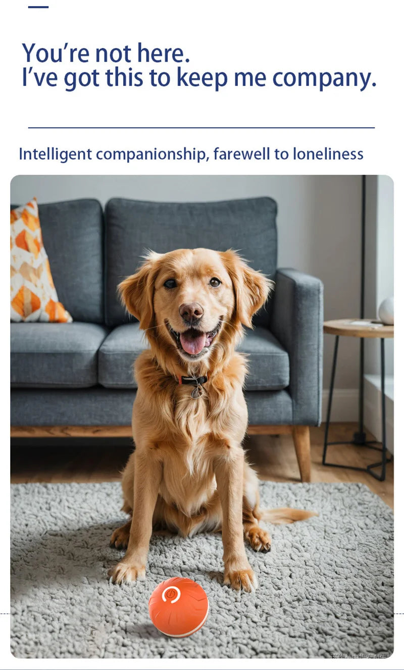 Smart Gravity Bounce Ball  Pet Toy