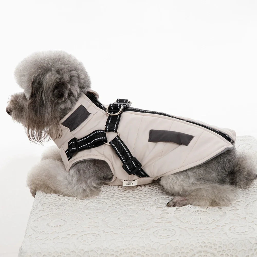 Veste pour chien