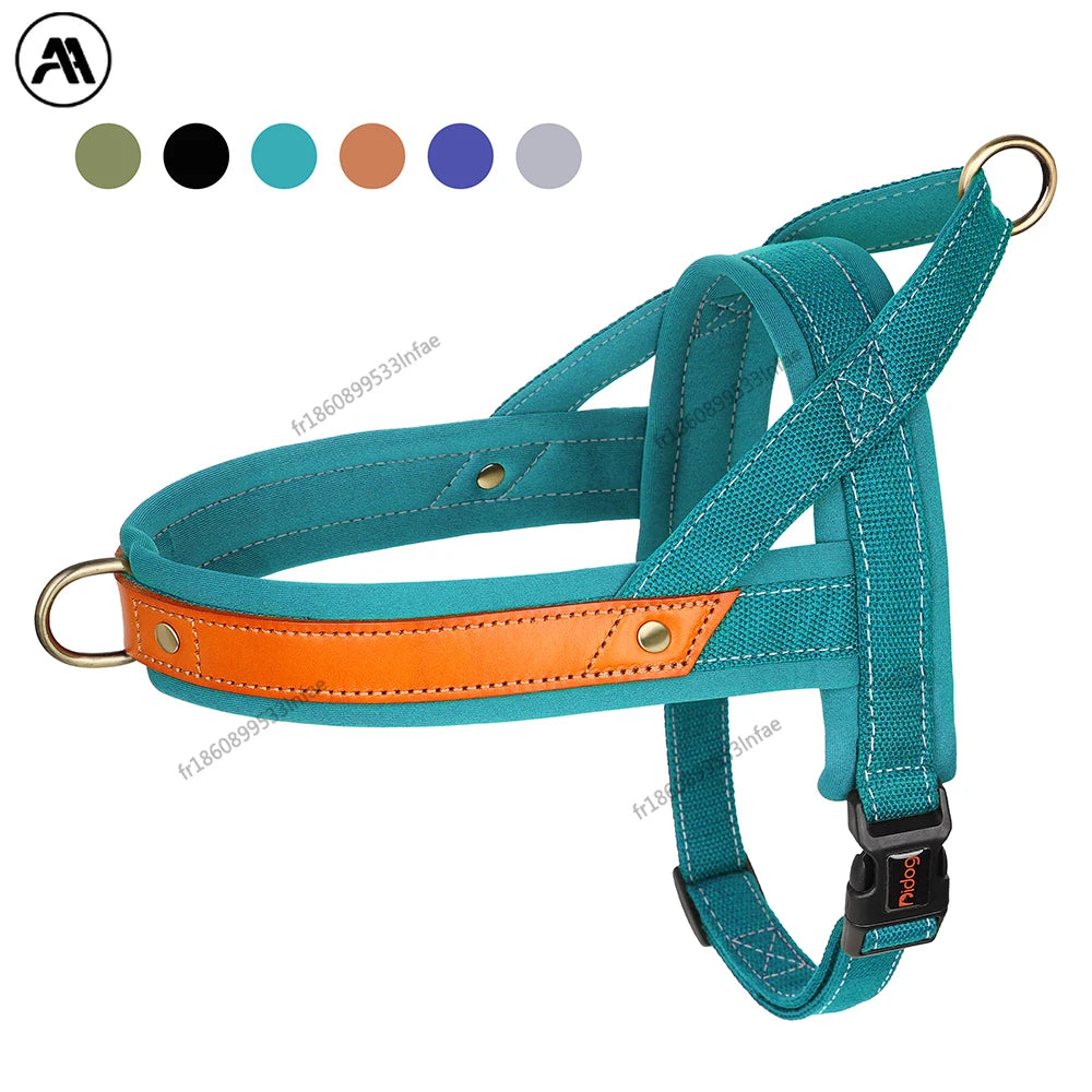 Harnais en cuir pour chien