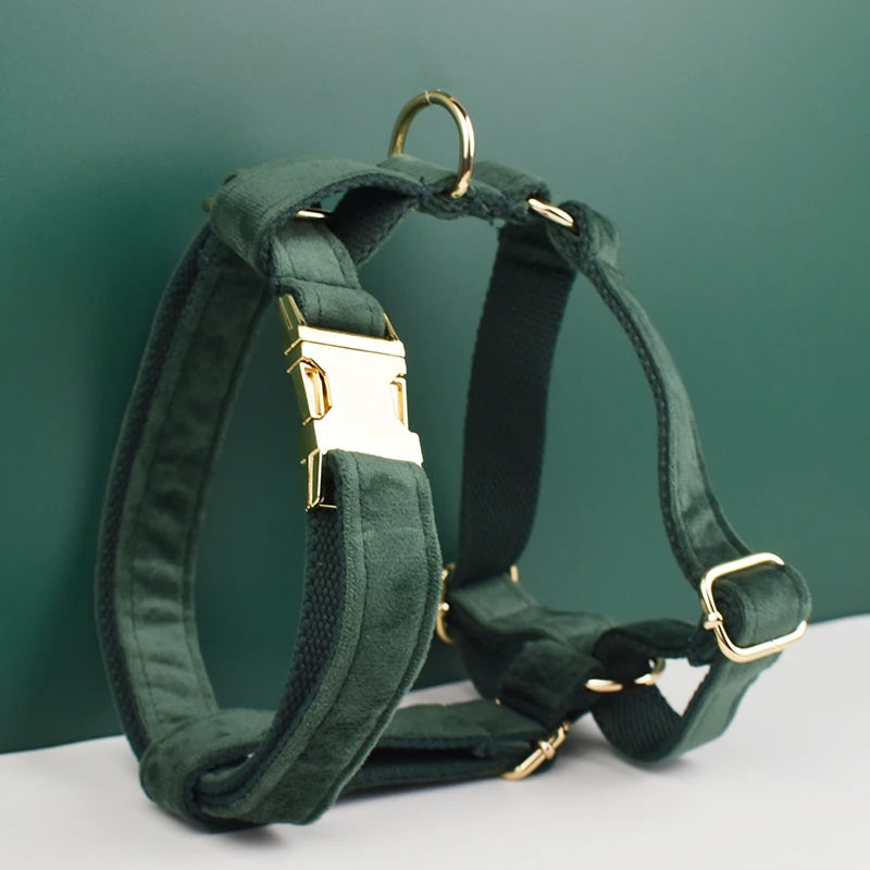 Personalized Velvet Dog Collar