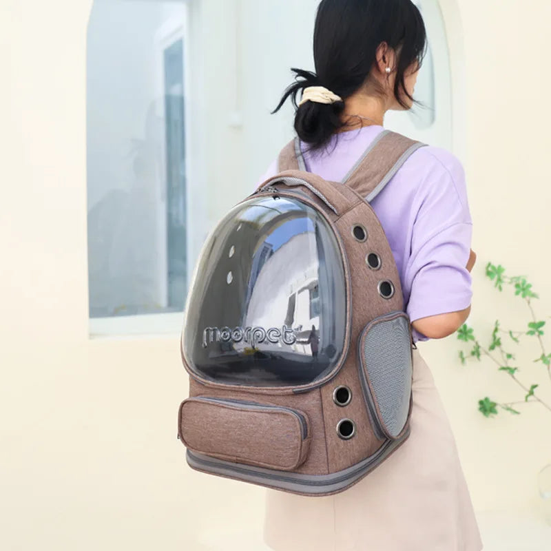 Transparent Folding Pet Carrier