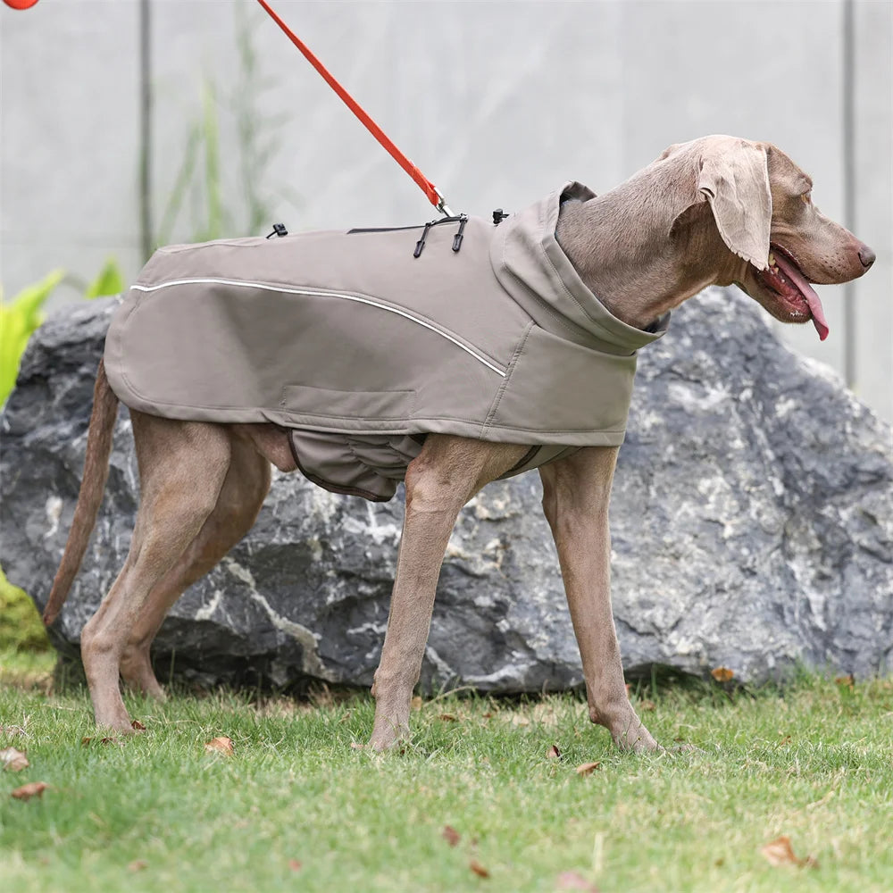 Veste imperméable pour grands chiens