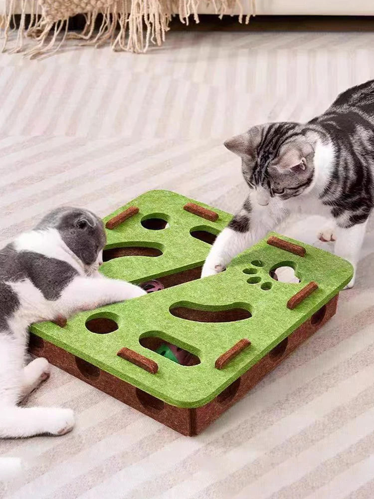 Jouet puzzle pour chat en matériau durable