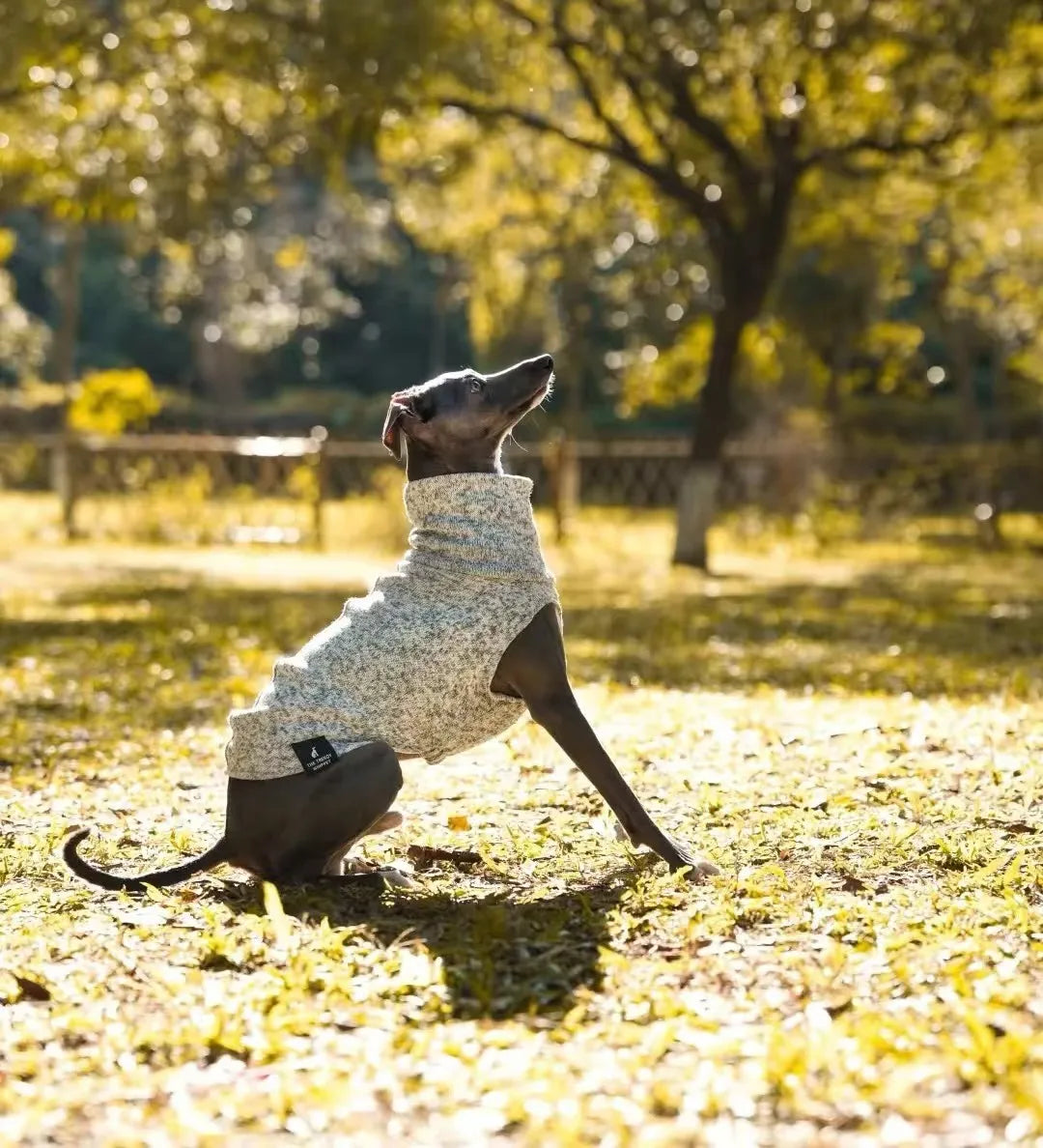 Sweat-shirt sans manches en polaire