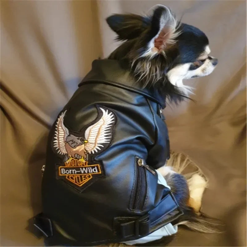 Manteau pour chien à motif d'aigle glorieux
