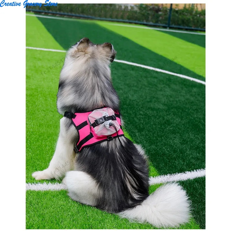 Sangle de poitrine et de dos pour animaux de compagnie