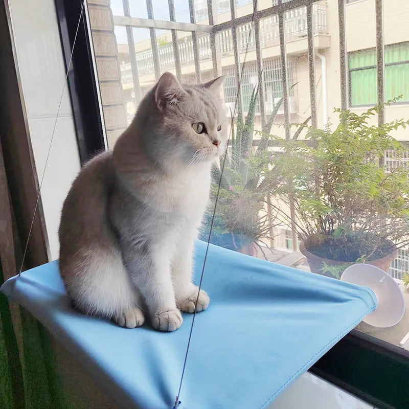 Hamac pour chat confortable – Lit suspendu Premium