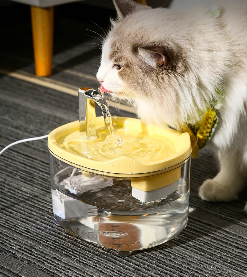 Fontaine à eau automatique pour chats