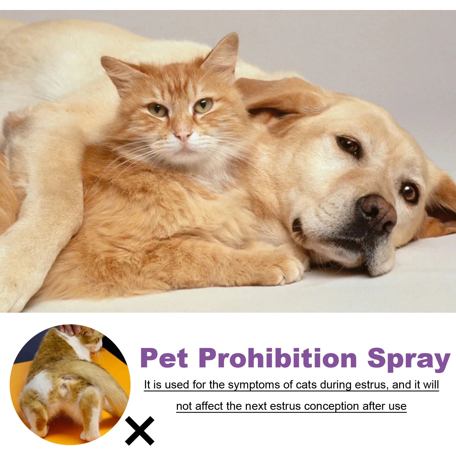 Spray apaisant pour animaux de compagnie