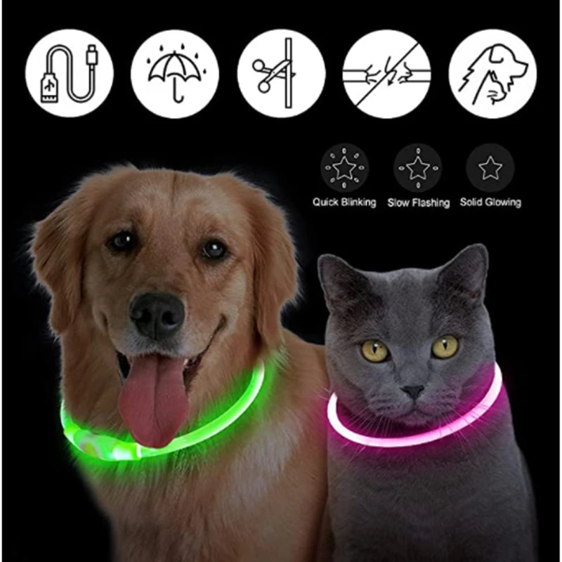 Collier pour animaux de compagnie rechargeable à LED