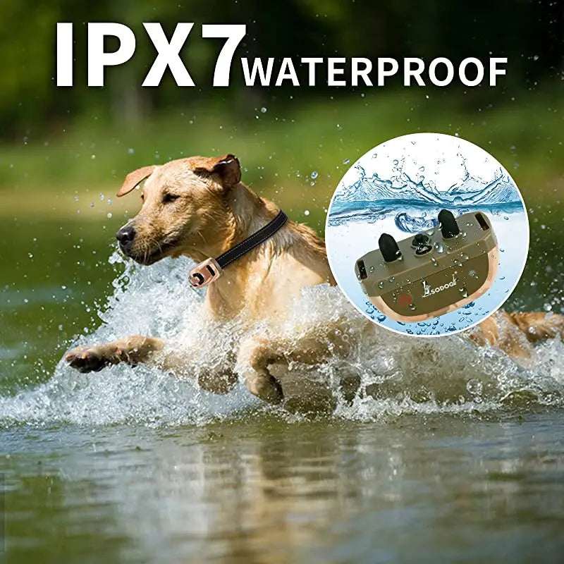 Collier de dressage électrique pour chien