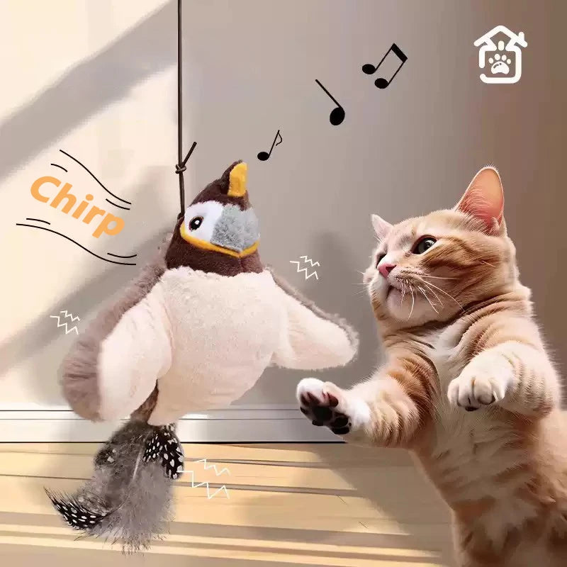 Jouet interactif chat oiseaux