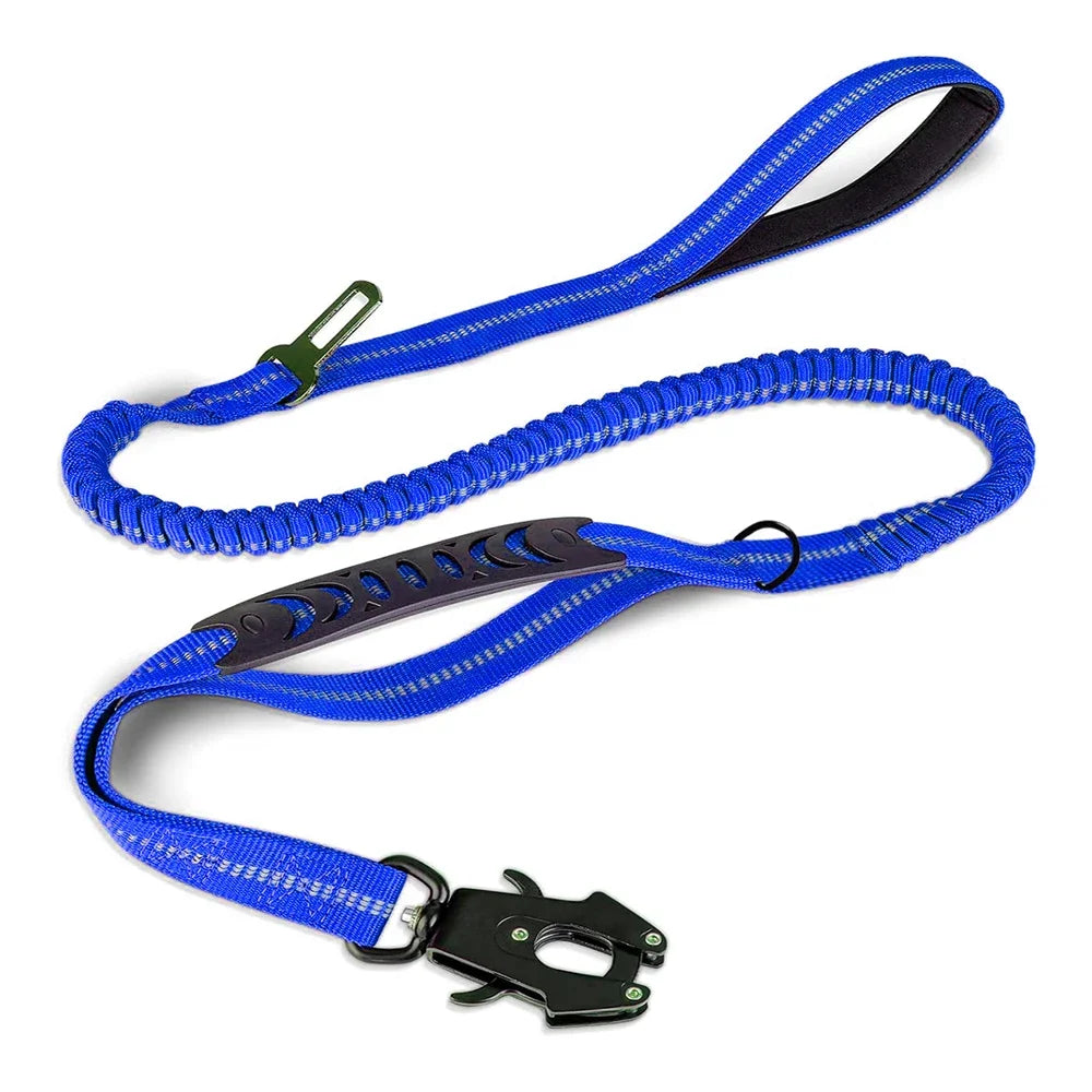 Shock Absorbing Pet Leashes