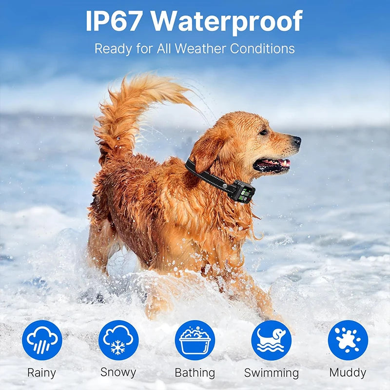 Clôture GPS pour animaux de compagnie et dispositif anti-aboiements