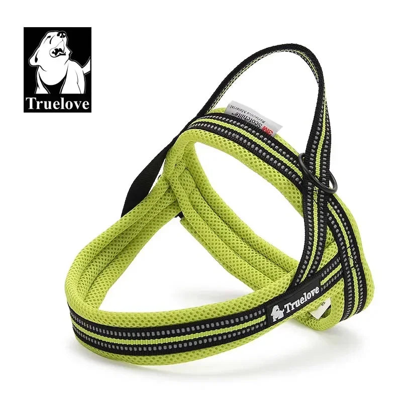 Harnais pour chien en nylon souple, avec support pour chien.