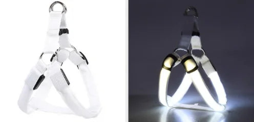 Harnais de poitrine pour chien