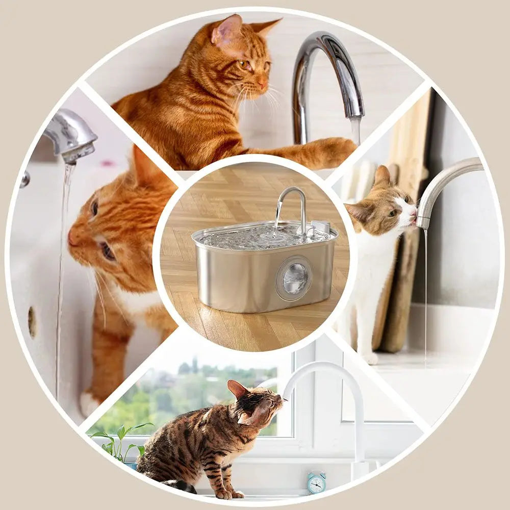 Distributeur d’eau 3,2L pour animaux