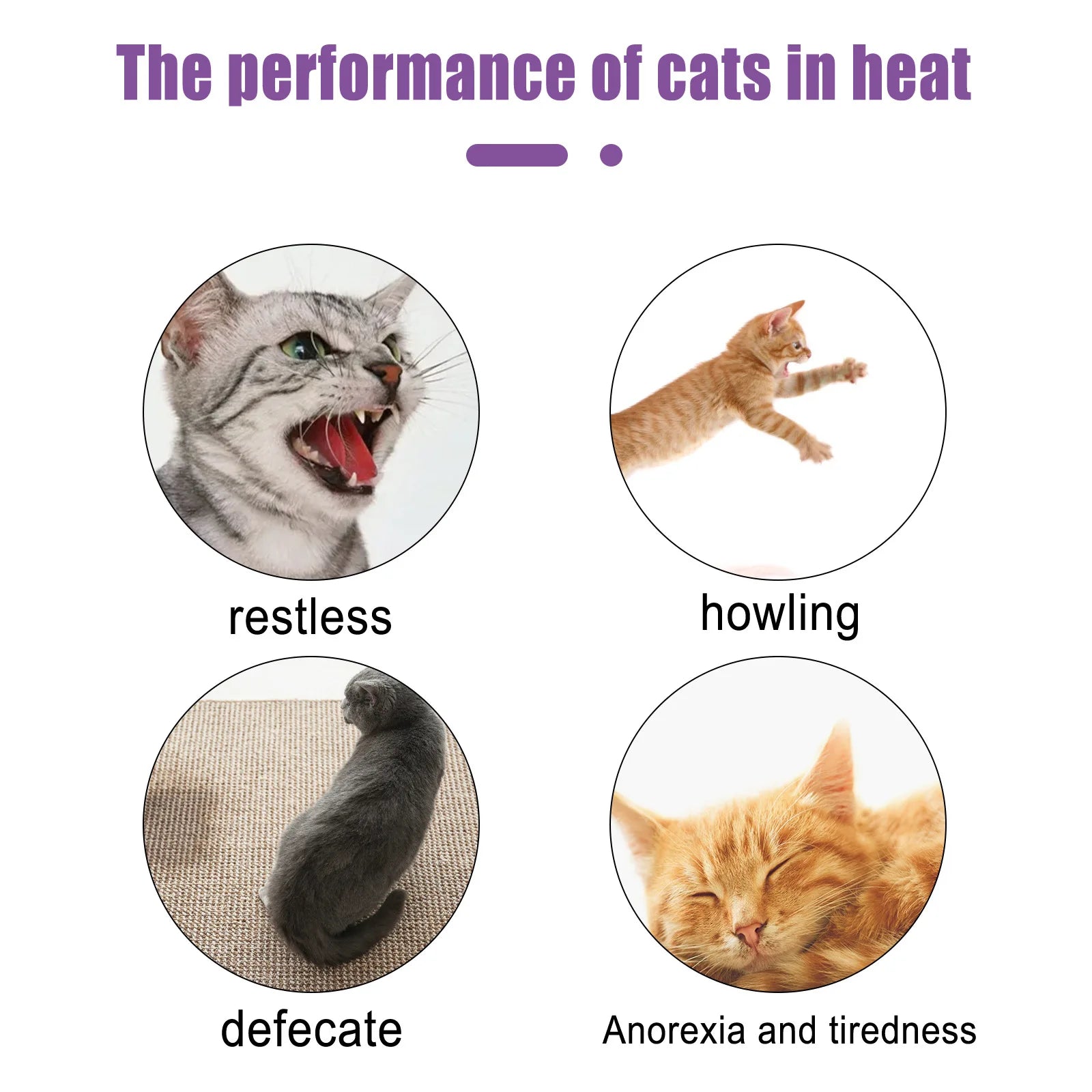 Spray apaisant pour animaux de compagnie