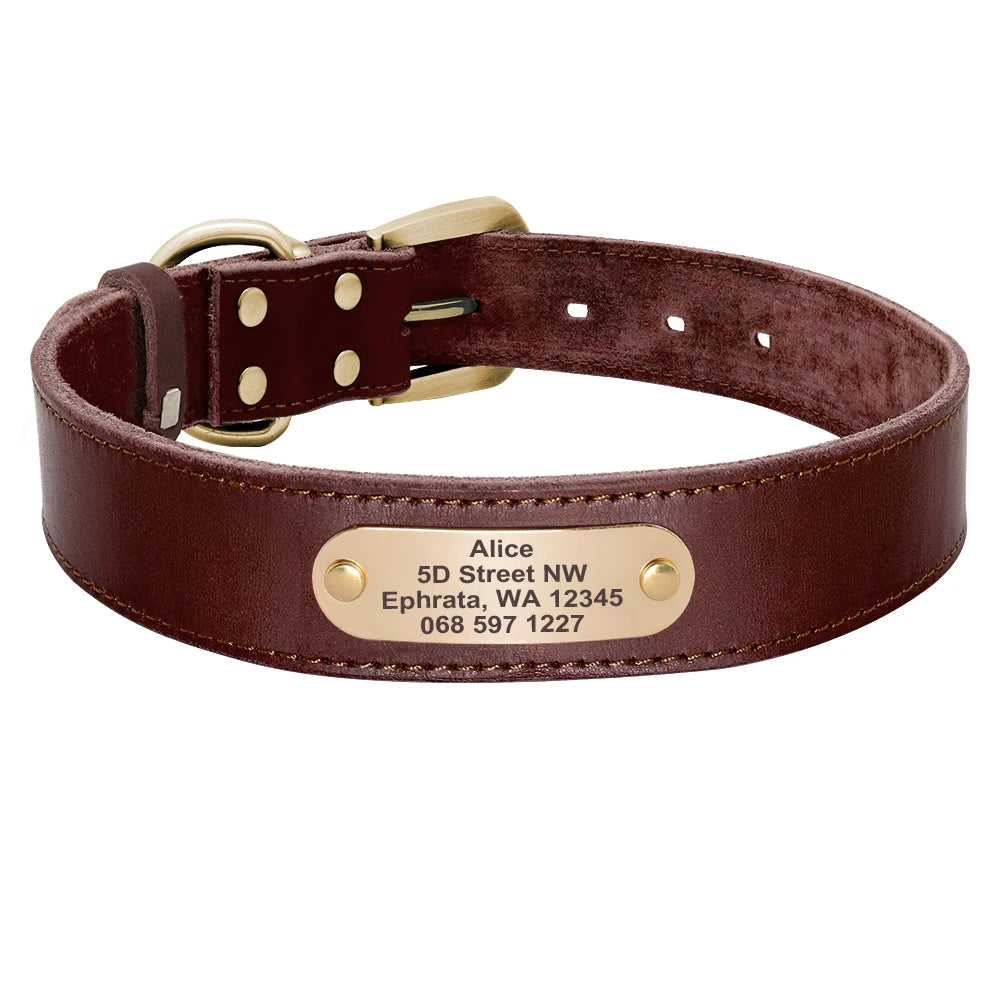 Custom Leather Dog Collar Leash