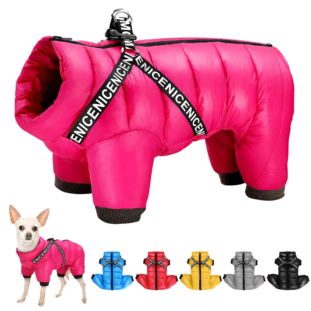 Veste chaude pour chien