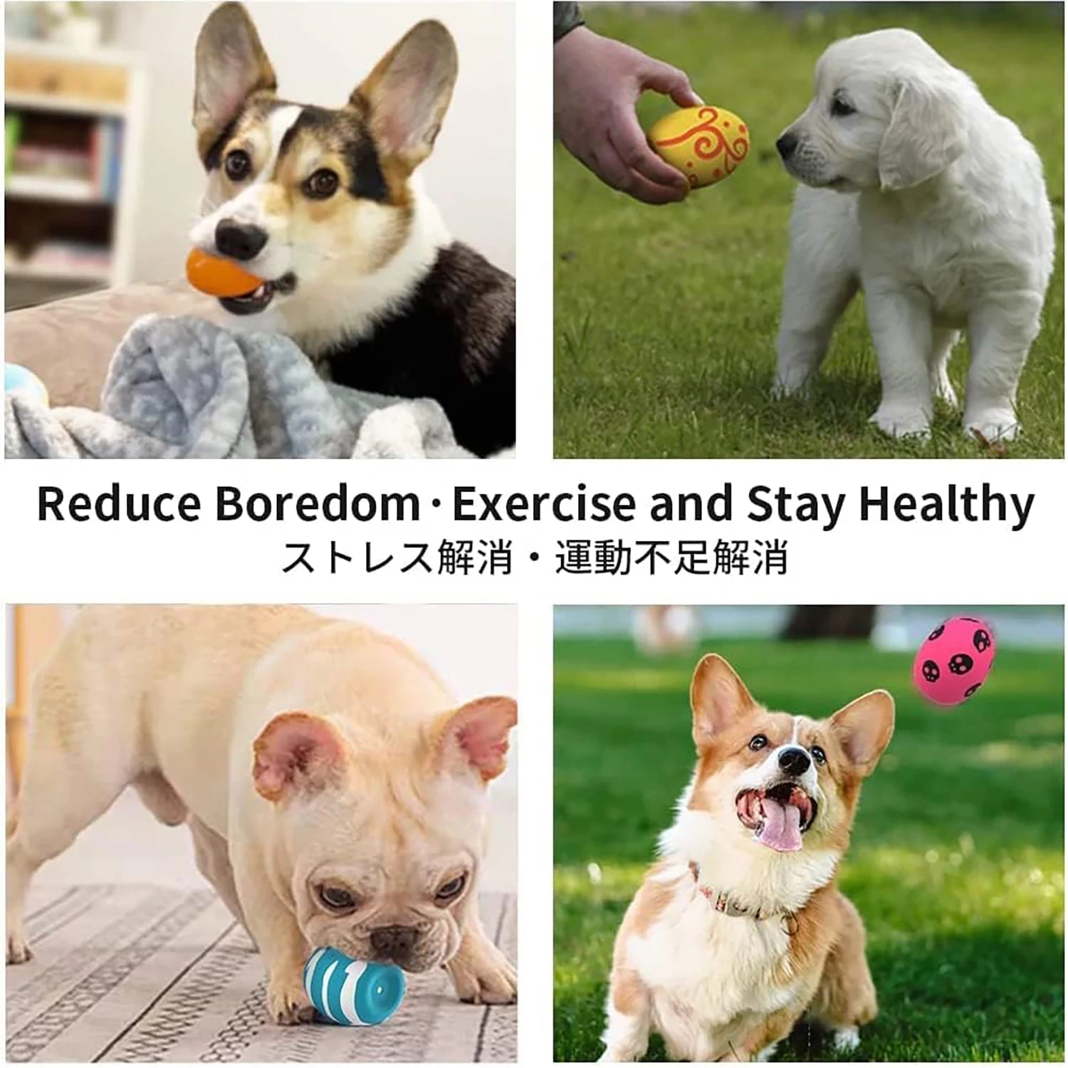 Jouets pour chiens en forme d'œuf rebondissant