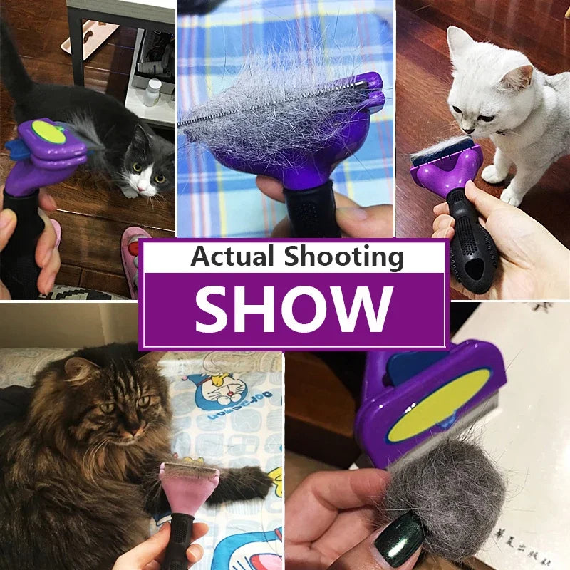 Peigne Anti‑Poils pour Chat – Toilettage Efficace