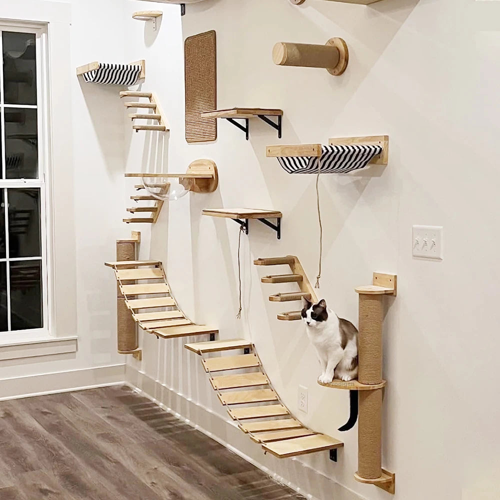 Ensemble d'escalade murale pour chat