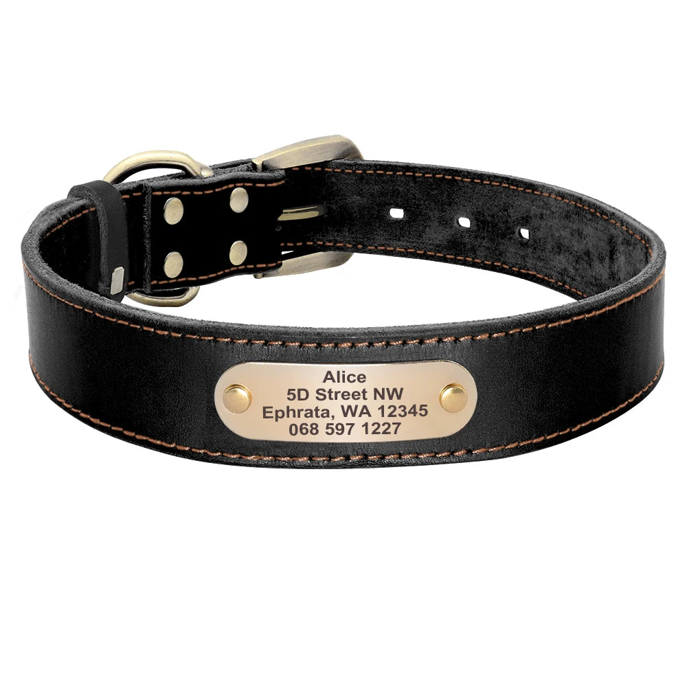 Custom Leather Dog Collar Leash