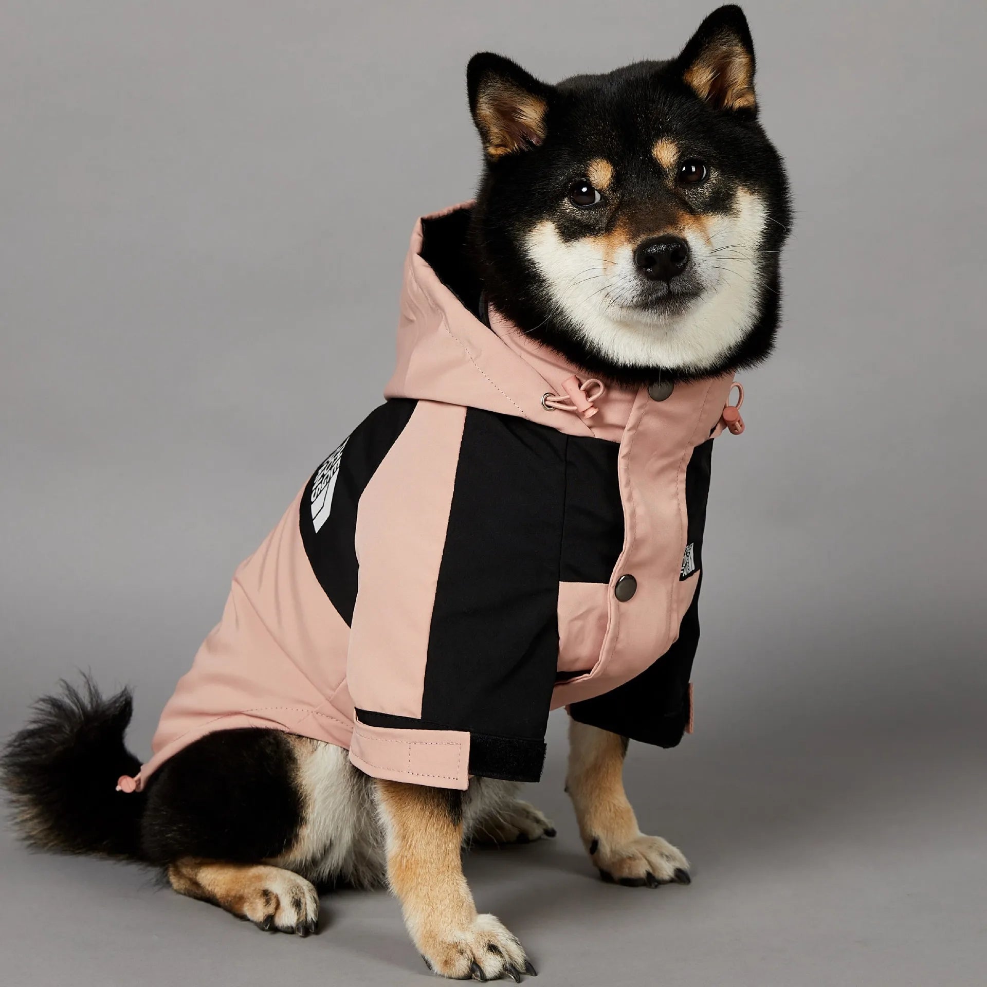 Imperméable d'hiver pour chien