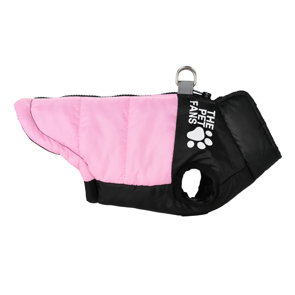 veste coupe-vent pour chien