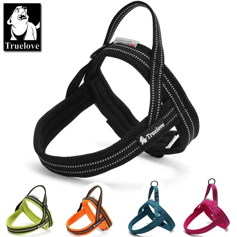 Harnais pour chien en nylon souple, avec support pour chien.