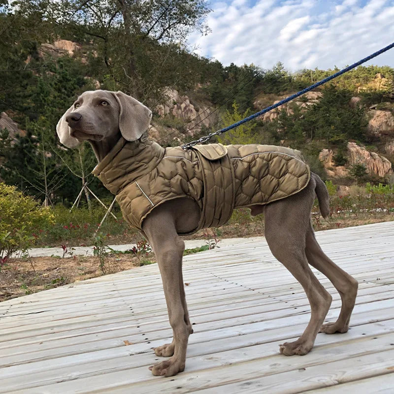 Vêtements chauds à col roulé pour chiens