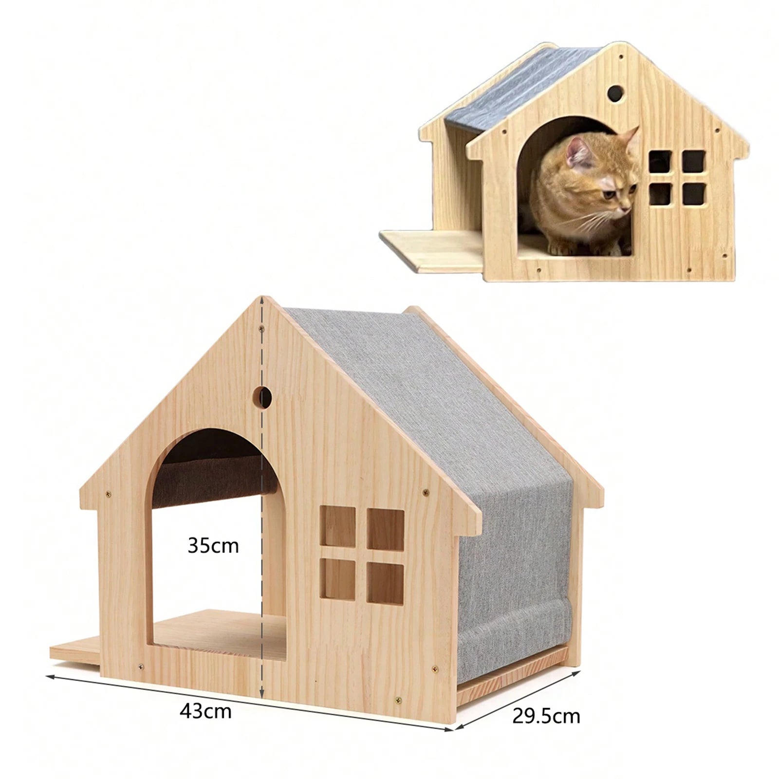 Ensemble d'escalade murale pour chat