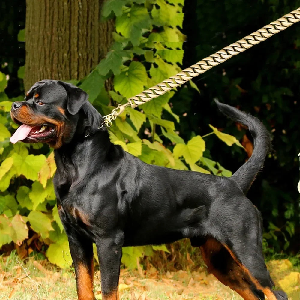 Stainless Steel Dog Leash