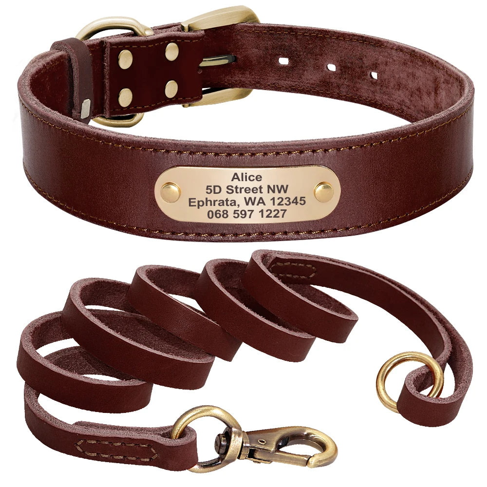 Custom Leather Dog Collar Leash