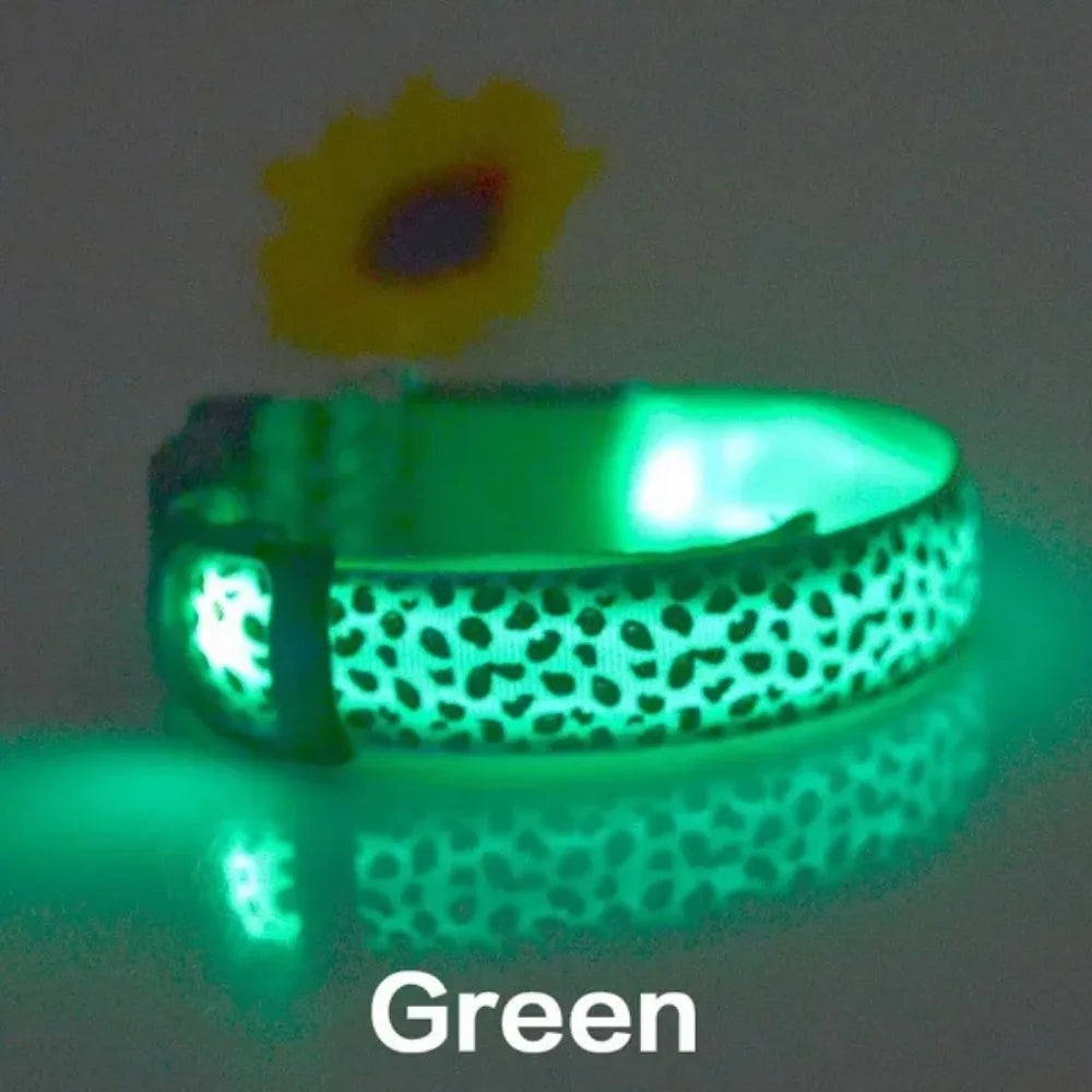 Collier anti-perte pour chien en nylon