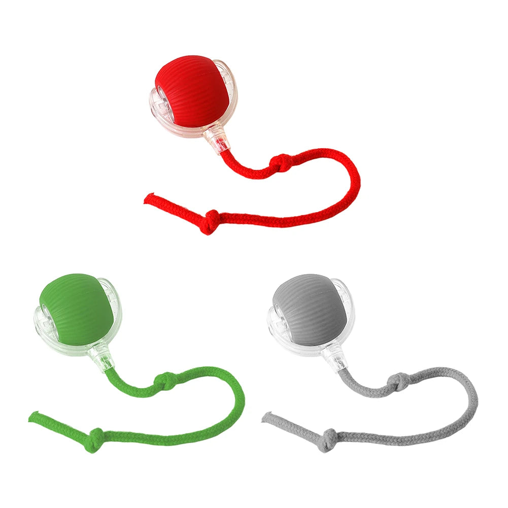Jouet balle interactive pour chat